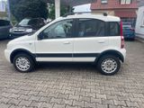 Fiat Panda 1.2 8V Climbing 4X4 +AHK+Tüv bis 08.2026 - Fiat Panda: Allradantrieb, 1.1