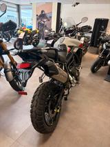 Triumph Tiger 900 Rally Pro / WERKSGARANTIE 02/2029 - TRIUMPH TIGER 900