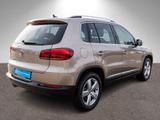 Volkswagen Tiguan Lounge 2.0 TDI Navi RFK PANO SHZ AHK - Volkswagen: Beige