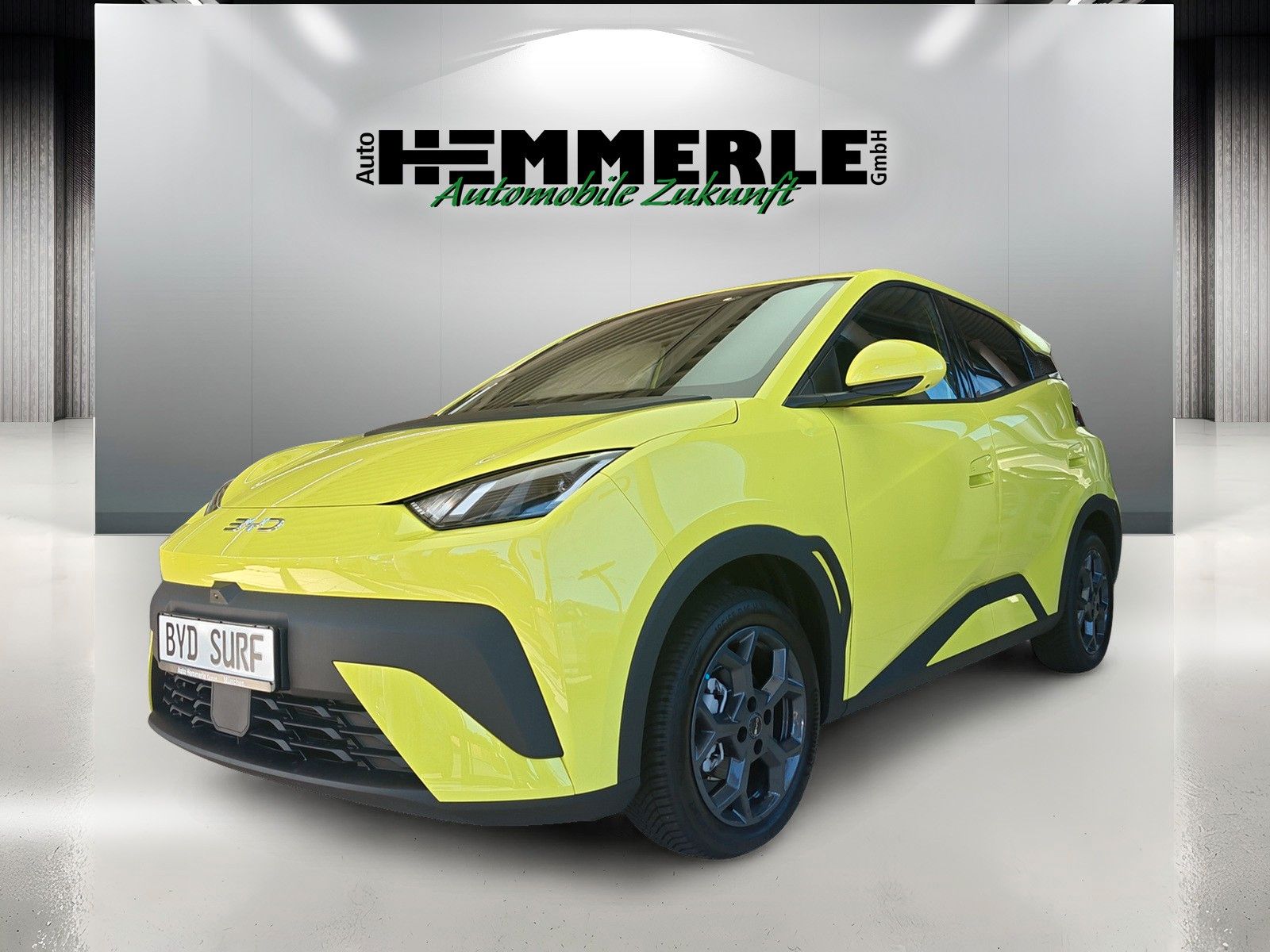 BYD DOLPHIN