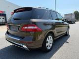 Mercedes-Benz ML 250 BlueTEC 4MATIC - - Mercedes-Benz ML 250 aus 2012