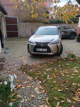 Lexus UX 250h E-FOUR Executive Line Executive Line - Lexus aus 2019