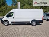 Fiat Ducato Maxi 35 L5H2 160PS | 260° | Holzausbau - Fiat Ducato l5