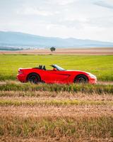 Dodge Viper SRT-10 - - Dodge Viper Benziner Gebrauchtwagen