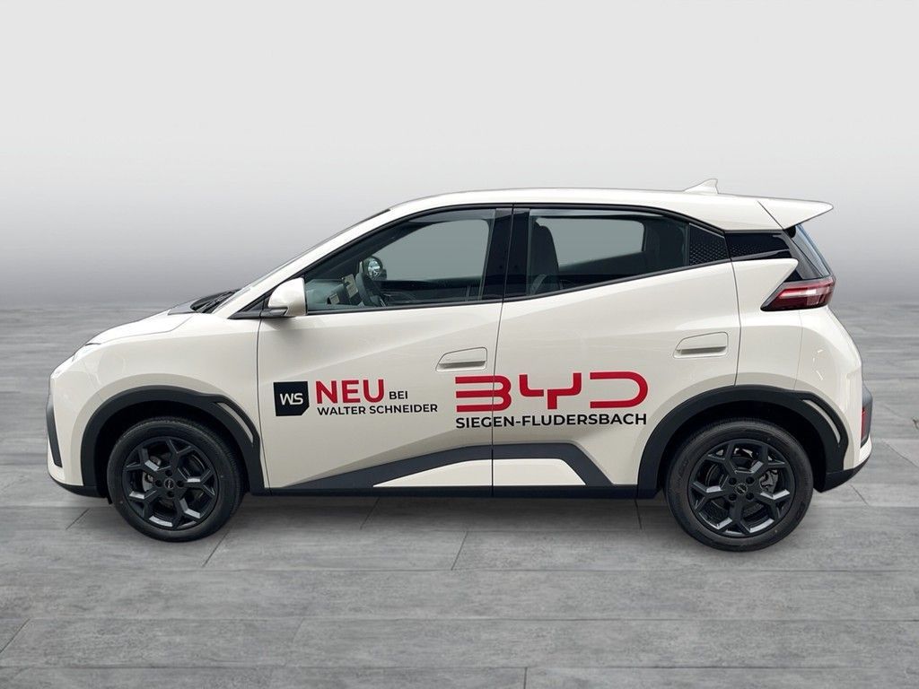 BYD DOLPHIN SURF