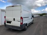 Peugeot Boxer - gebrauchte Peugeot Boxer aus dem Jahr 2012