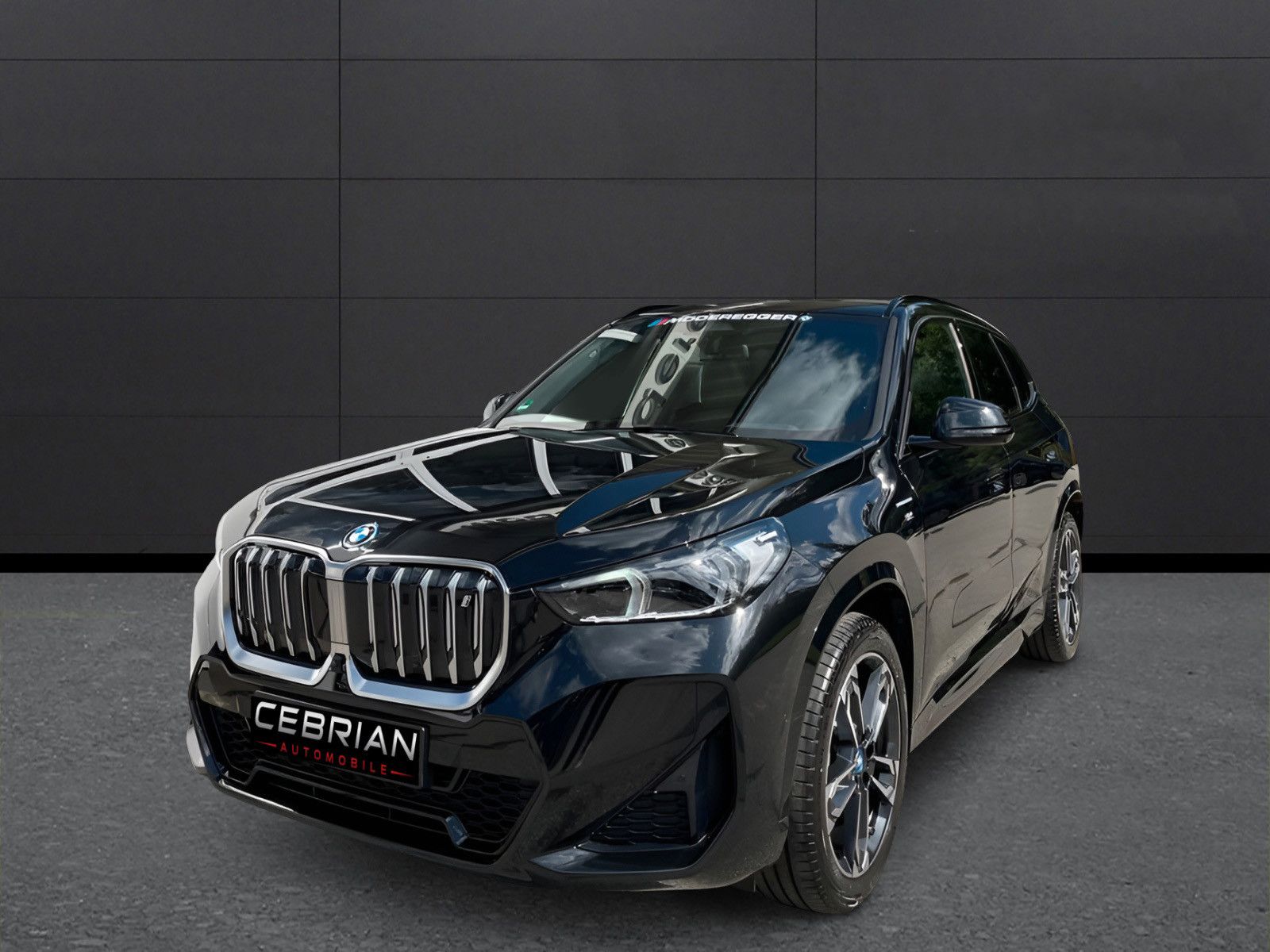 BMW iX1 xDrive30 M Sportpaket AHK PANO
