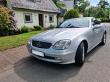 Mercedes-Benz SLK 200 Komp. R170 Auto Leder Klima HU WGA 2+ - Mercedes-Benz: Cabrio, 170