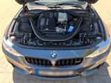 BMW M4 Cabrio Competition - BMW: Competition