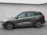 Ford Kuga 2.0 EcoBlue Aut. ST-LINE - Ford Kuga mit Diesel-Antrieb: Geländewagen
