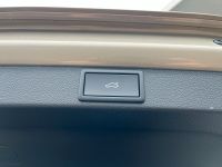 Skoda Octavia 1.5 TSI MHEV DSG Selection AHK 5J GAR bei Autohaus Landmann & Maier OHG