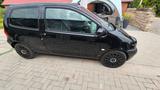 Renault Twingo 1.2 Black Edition. Tiefer,Sportlich,Laut - Renault Gebrauchtwagen von 2000
