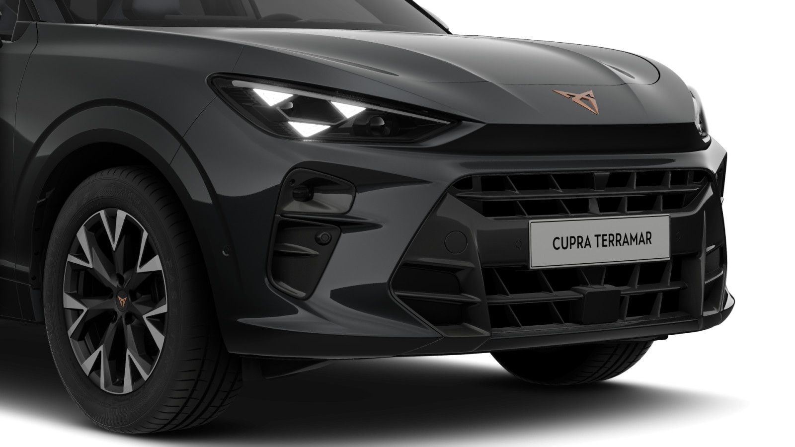 Cupra Terramar - Bild 7