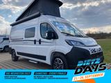 Dethleffs Globetrail Active 600 DS Fiat 180PS Aufstelldach - Dethleffs Diesel Kastenwagen