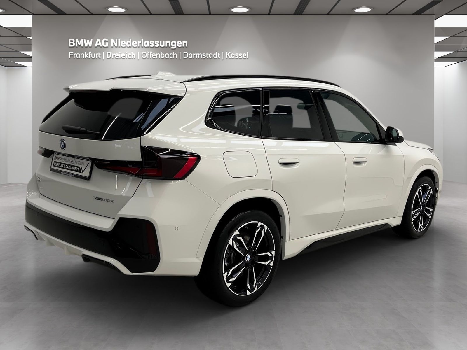 BMW X1 xDrive30e M Sport AHK Driv.Assist.Prof LED foto 4