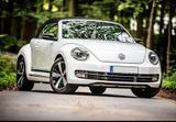 Volkswagen New Beetle Cabrio | Sehr gepflegt | TÜV | Klima - Volkswagen New Beetle