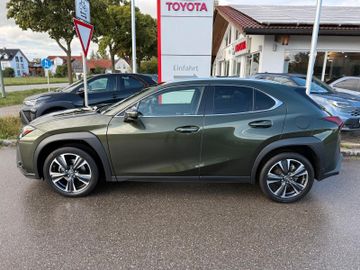 Lexus UX - 5