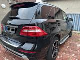 Mercedes-Benz Mercedes Benz ML 350  (Head up) (AMG Line) - Mercedes-Benz ML 350 in Duisburg