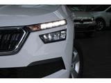 Skoda Kamiq 1.0 TSI Ambition SHZ Kamera AGV - Skoda Gebrauchtwagen in Freiburg