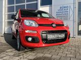 Fiat Panda 1.2 Easy Schalter 2.HAND SCHECKH CD - gebrauchte Fiat Panda aus dem Jahr 2017