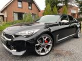 Kia Stinger 2.2 CRDI GT-LINE FULL OPTION Panodak LED - schwarze Kia Stinger