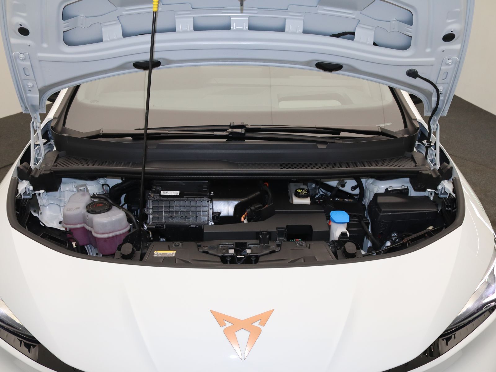 Cupra Born - Bild 19