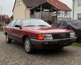 Audi 100 C3 (2 Fahrzeuge, nur zusammen) - Audi 100: 100c3