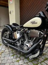 Harley-Davidson Softtail - Offers