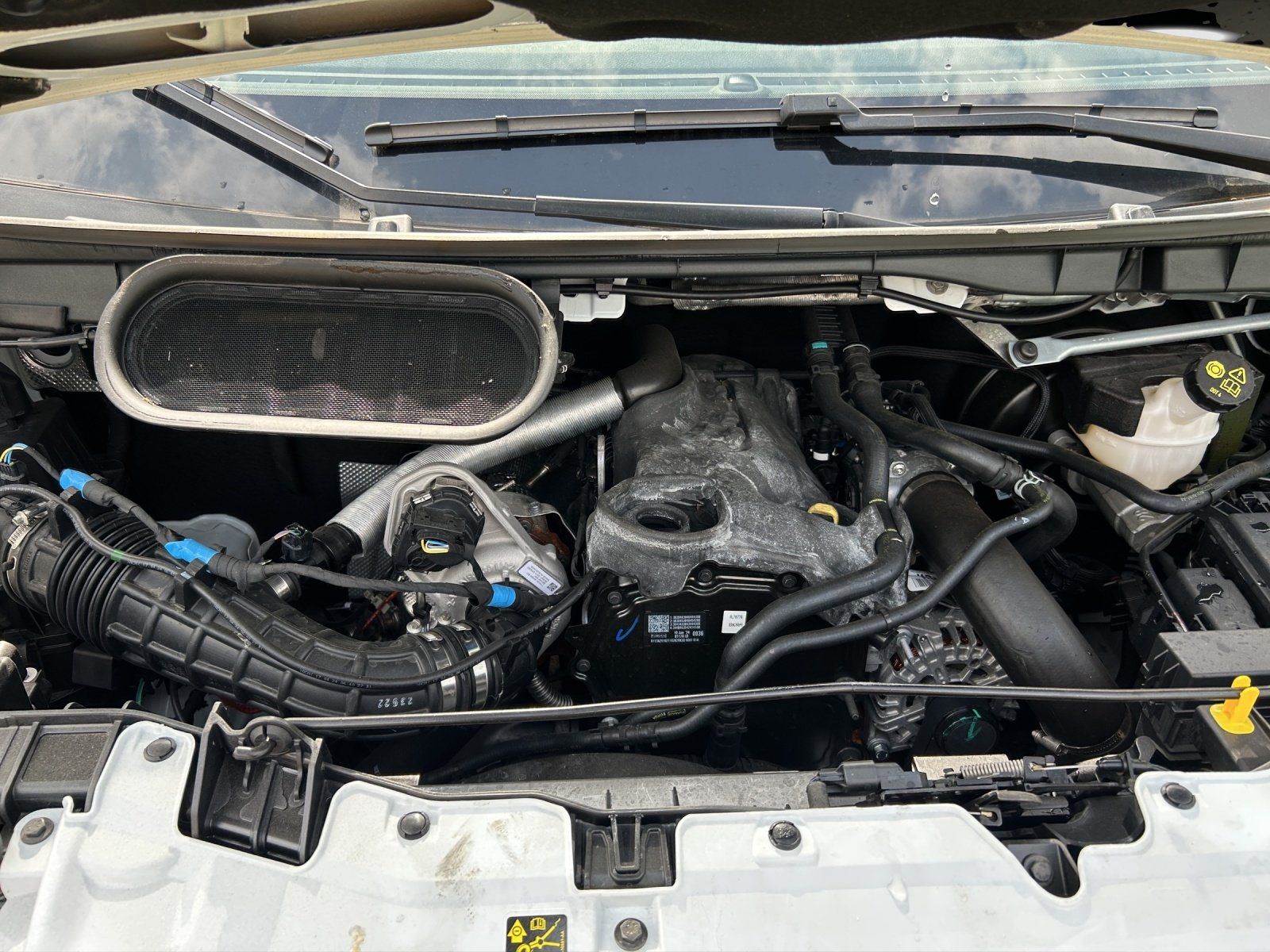 Fahrzeugabbildung Ford Transit Kasten Trend 350L4 GJR Tech. 6 Ausbau