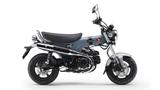 Honda ST125 AS DAX **AKTIONSPREIS**