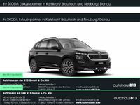 Skoda Kamiq - Vorschau Bild 1