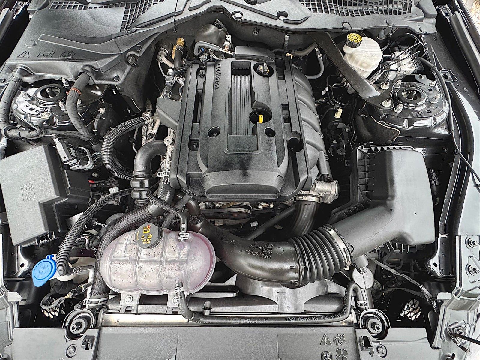 Fahrzeugabbildung Ford Mustang Shelby GT 500 Sport Cabrio Premium LED