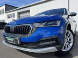 Skoda Octavia Combi 2.0 TDI DSG 4x4 Scout 175€ m.20% A - Skoda Octavia: 20