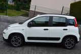 Fiat Panda City Life-KLIMA-PDC-Allwetterreifen - Fiat Panda Gebrauchtwagen in Solingen