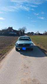 Ford Mustang 289 V8 Vollrestauriert  - gebrauchte Ford Mustang aus dem Jahr 1966