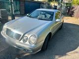 Mercedes-Benz Clk 200 Kompressor Eleganz - Mercedes-Benz CLK 200 aus 2001: Kompressor