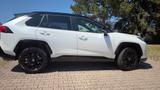 Toyota RAV 4 2.5 AWD-i Automatik 4x4  - gebrauchte Toyota RAV 4 aus dem Jahr 2024