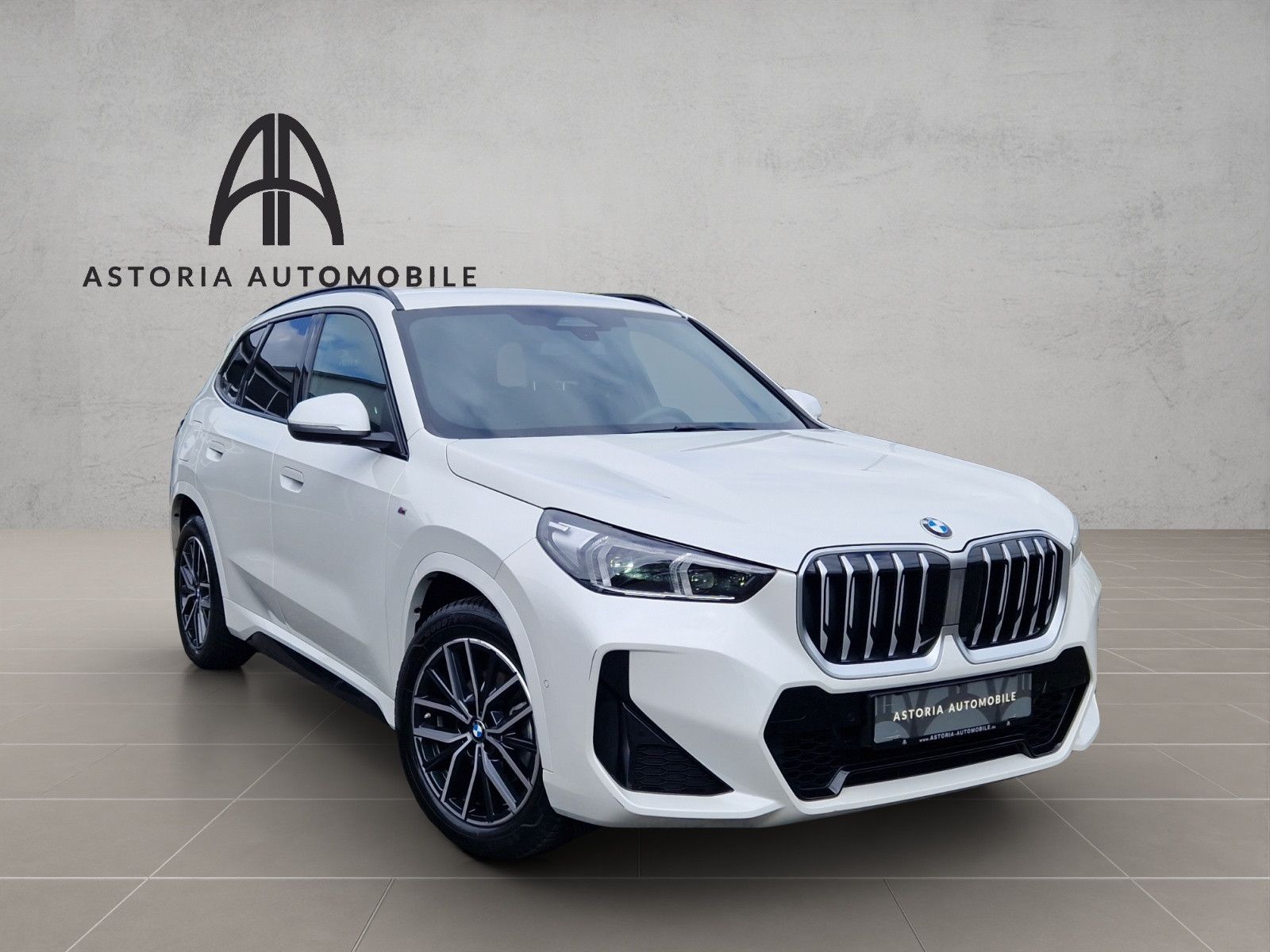 BMW X1 20 d xDrive M-Sport Hexacube DAB Kamera Alcan foto 3