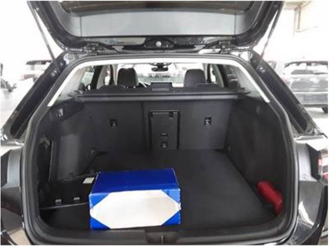 Golf Variant VIII 2.0 TDI DSG Goal AHK/IQ.Light