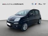 Fiat Panda 1.2 8V Lounge PDC - Fiat Panda: Schwarz