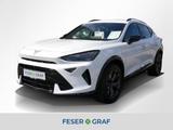 Cupra Formentor 2.0 TDI DSG 360° AHK Kessy Navi - mit Diesel-Antrieb: Beheizbares Lenkrad, Geländewagen