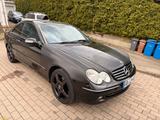 Mercedes-Benz Mercedes Benz CLK - Mercedes-Benz CLK 270: Coupe