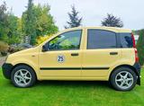 Fiat Panda 25 km/h Mehrzweckfahrzeug - Fiat Panda: Km H