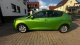 Seat Ibiza 1.4 16V Reference Reference - Seat Ibiza: Grün