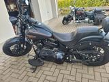 Harley-Davidson Cross Bones  - Offers