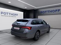 Skoda Octavia - Vorschau Bild 5