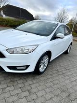 Ford Focus 1,0 EcoBoost 92kW Business Edition Bus... - Ford Focus: 1.9