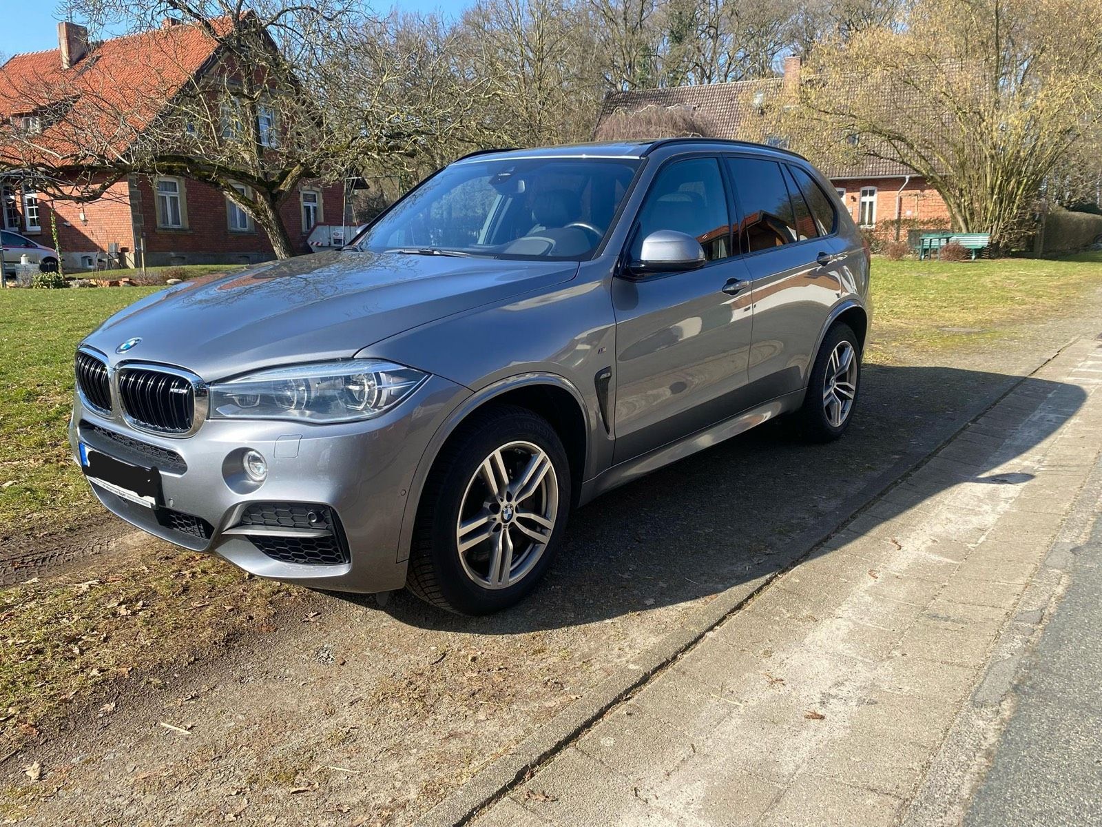 BMW BMW X5 M50d