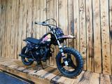 Yamaha PW 50 Limited RB Edition - YAMAHA KARDAN