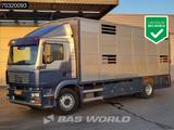MAN TGM 18.240 N18 4X2 NL-Truck 2 decks cattle trans - MAN 4x4